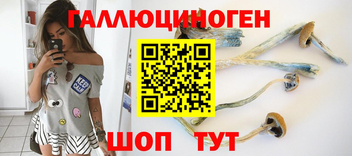 Псилоцибиновые грибы мицелий Каспийск